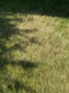 IMG_5256.jpeg