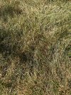 IMG_5255.jpeg