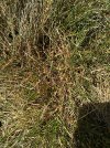 IMG_5254.jpeg
