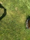 IMG_5267.jpeg