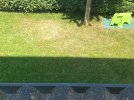 IMG_5265.jpeg