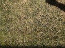 IMG_6060.jpeg