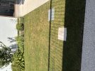 IMG_6058.jpeg
