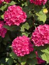 IMG_2858.jpeg