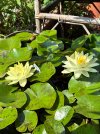 IMG_2853.jpeg