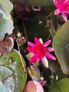 IMG_2851.jpeg