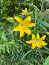 IMG_2843.jpeg