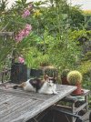 IMG_2831.jpeg