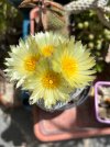 IMG_2840.jpeg
