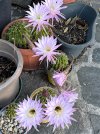 IMG_2845.jpeg