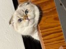 IMG_2868.jpeg
