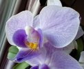 IMG_20260628_185033.jpg
