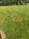 IMG_5322.jpeg