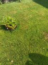 IMG_5321.jpeg