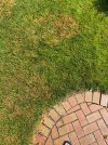 IMG_5320.jpeg