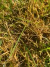 IMG_5324.jpeg