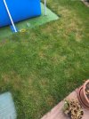 20260629_184100.jpg