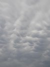 20260711_174708.jpg