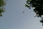 DSCF0001.JPG