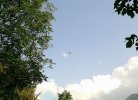 DSCF0004.JPG DSCF0004.JPG