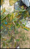 Screenshot_20260726_103631_Gallery.jpg