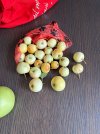 IMG_2959.jpeg