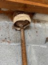 IMG_2961.jpeg