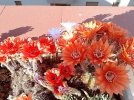IMG_2980.jpeg