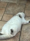 IMG_3020.jpeg
