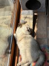 IMG_3018.jpeg