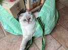 IMG_3024.jpeg