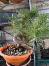 IMG_3047.jpeg