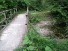 DSCF0008.JPG DSCF0008.JPG