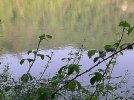 DSCF0009.JPG DSCF0009.JPG