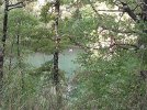 DSCF0010.JPG DSCF0010.JPG