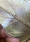 IMG_3022.jpeg