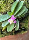 IMG_3156.jpeg