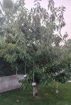 IMG-20260829-WA0004.jpg