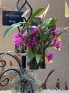 IMG_3380.jpeg