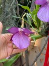 IMG_3379.jpeg