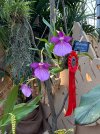 IMG_3378.jpeg
