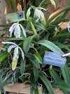 IMG_3375.jpeg