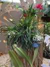 IMG_3374.jpeg