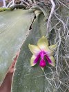 IMG_3368.jpeg