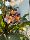 IMG_3428.jpeg