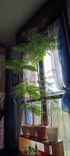 IMG-20261018-WA0000.jpg