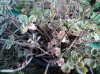 DSC00153.jpg