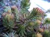 DSC00157.jpg