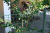 rsz_img_6543.jpg