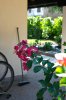 rsz_img_6544.jpg